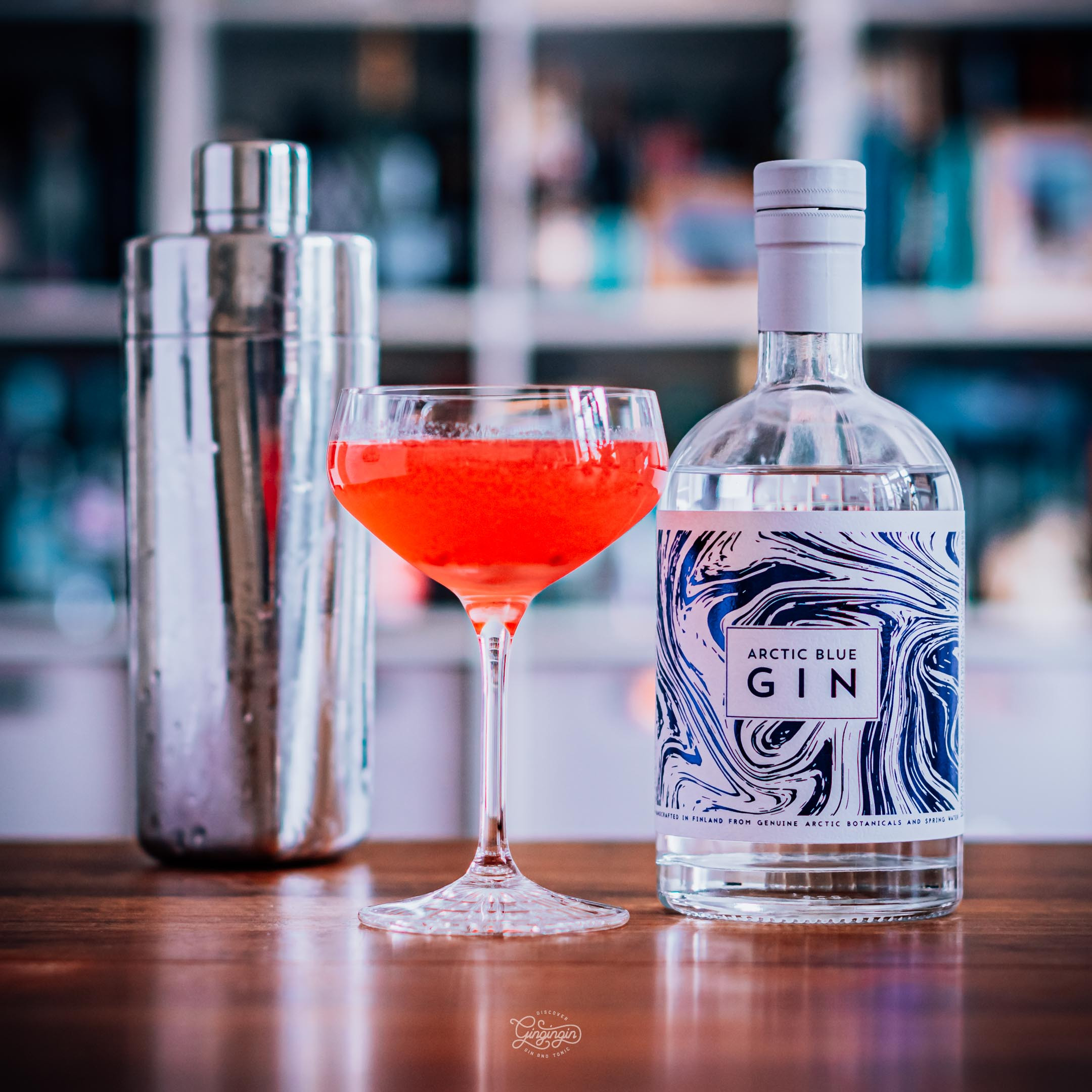 Cocktail Set für Anfänger - Shaker mit Gin und Cocktail