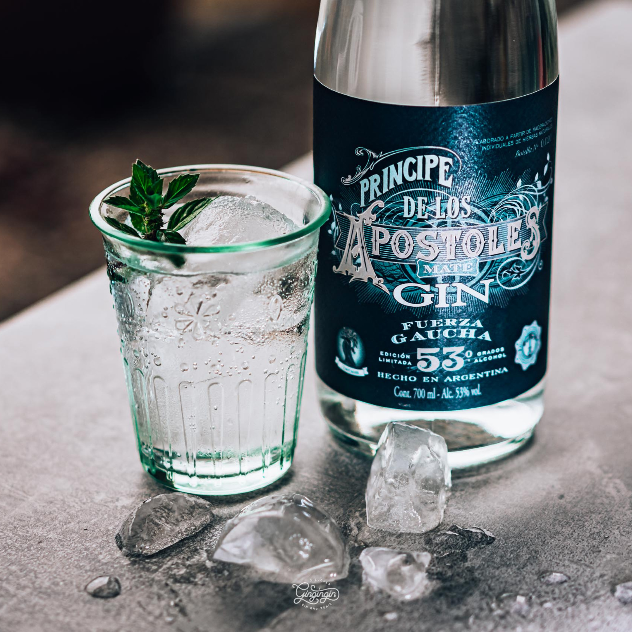 Principe de los Apostoles Gin Fuerza Gaucha mit Gin Tonic
