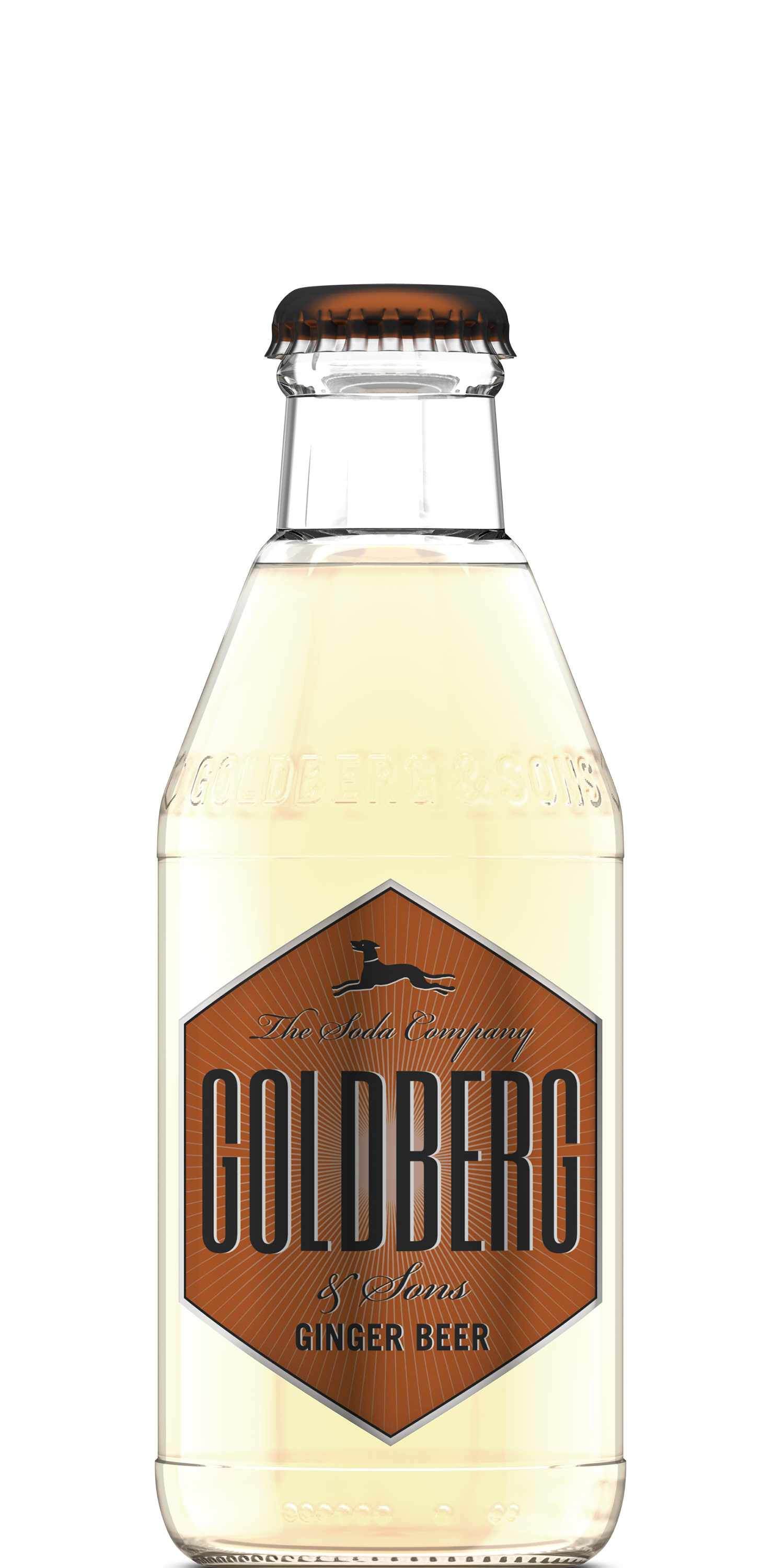 GOLDBERG-Ginger-Beer-200ml.png