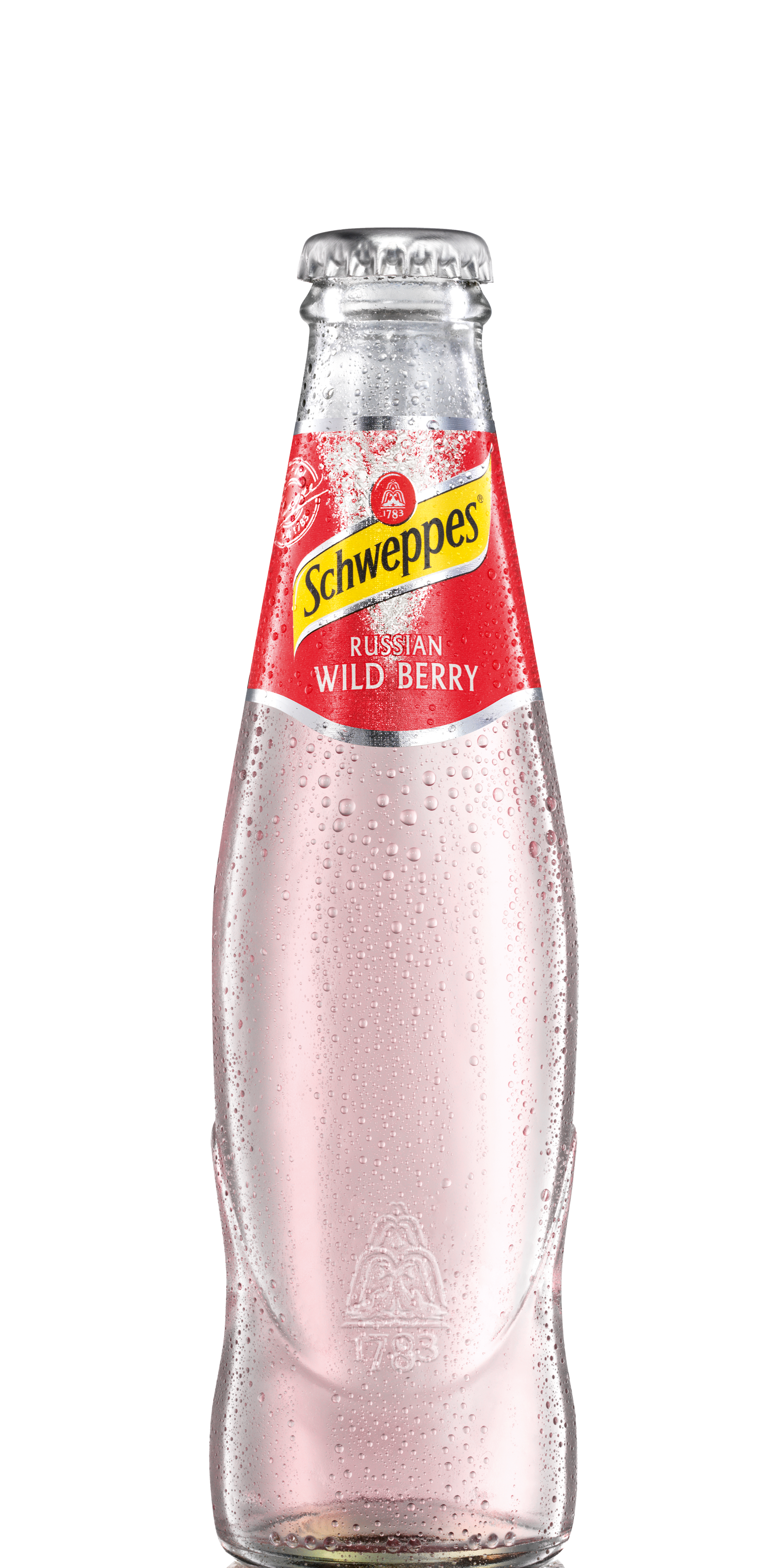 Schweppes Russian Wild Berry 200ml Flasche